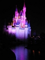 Cinderellas Castle at night - Disney World FL (3719406)